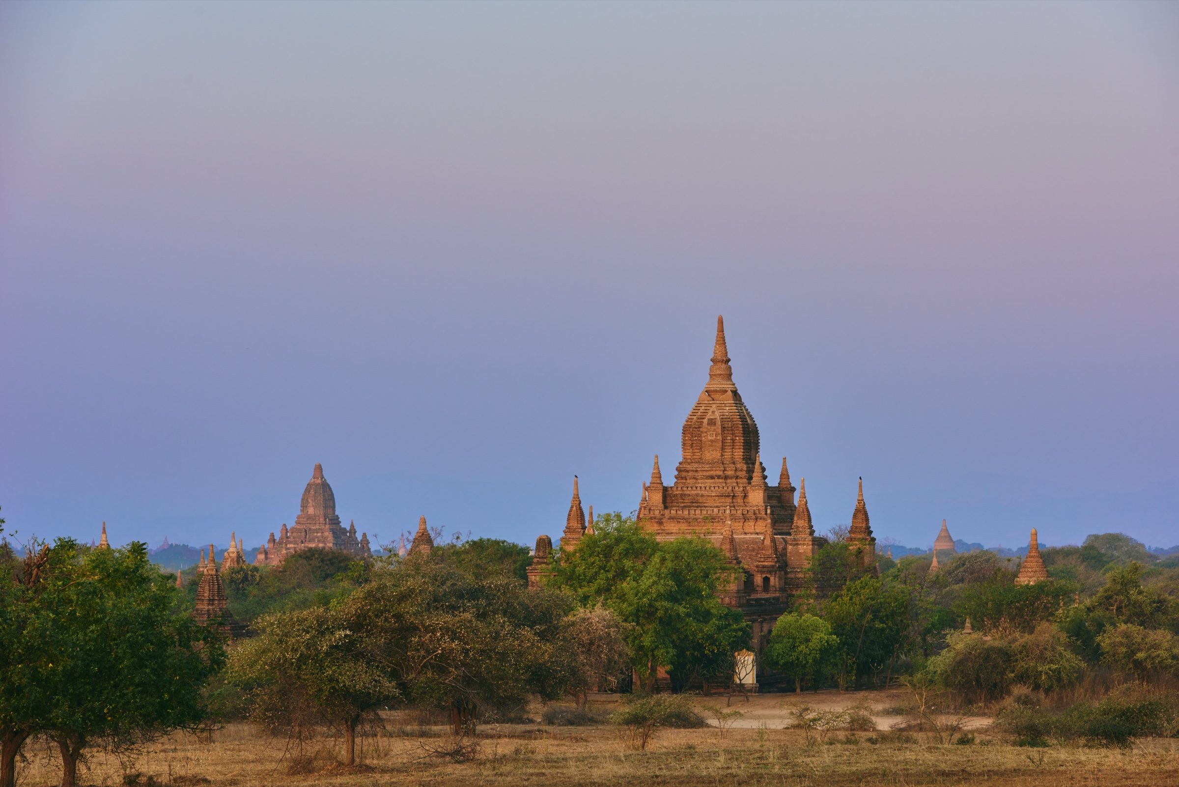 Bagan temples under a purple dusk sky, Myanmar