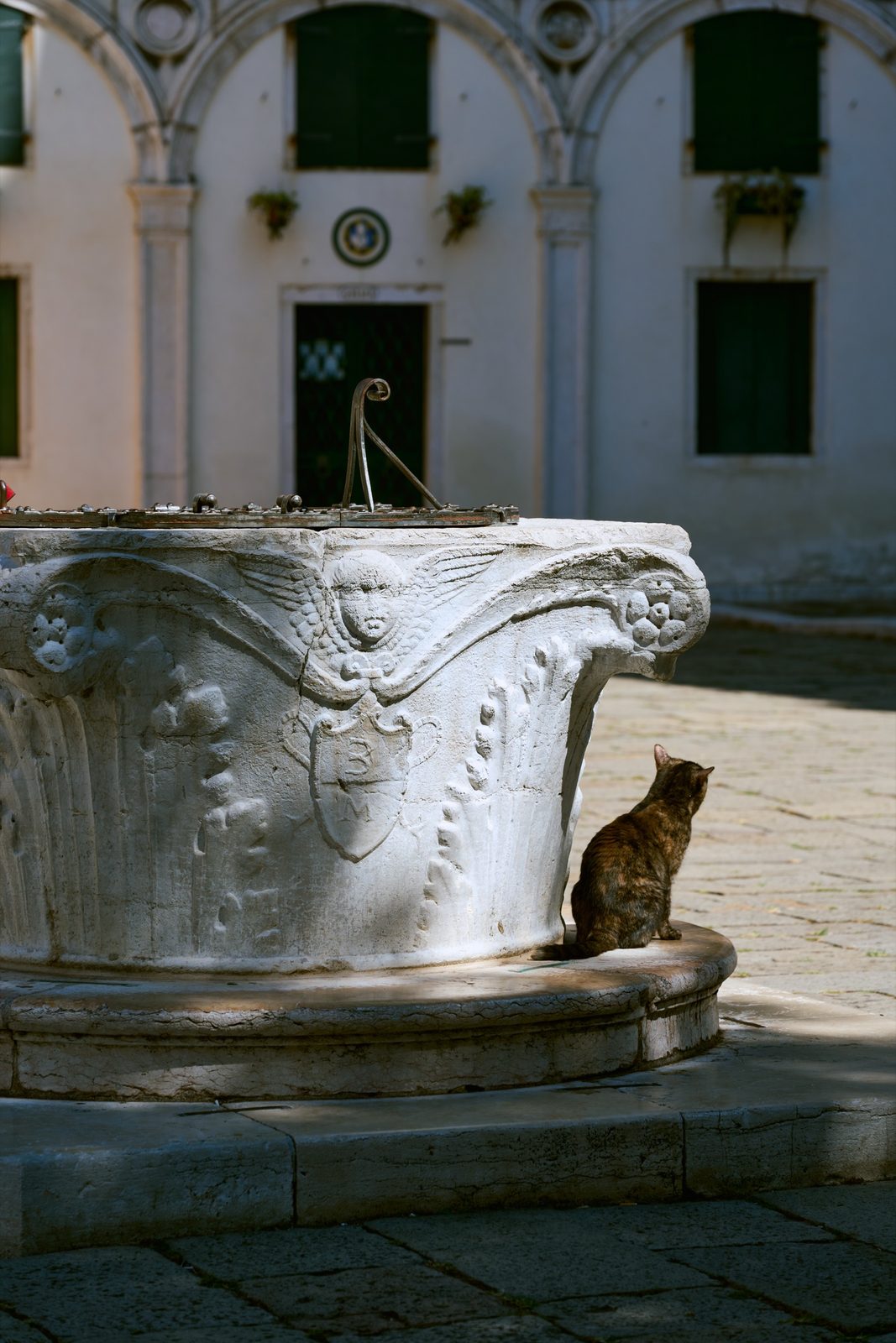 A cat resting beside a carved stone wellhead in a quiet Venetian campo