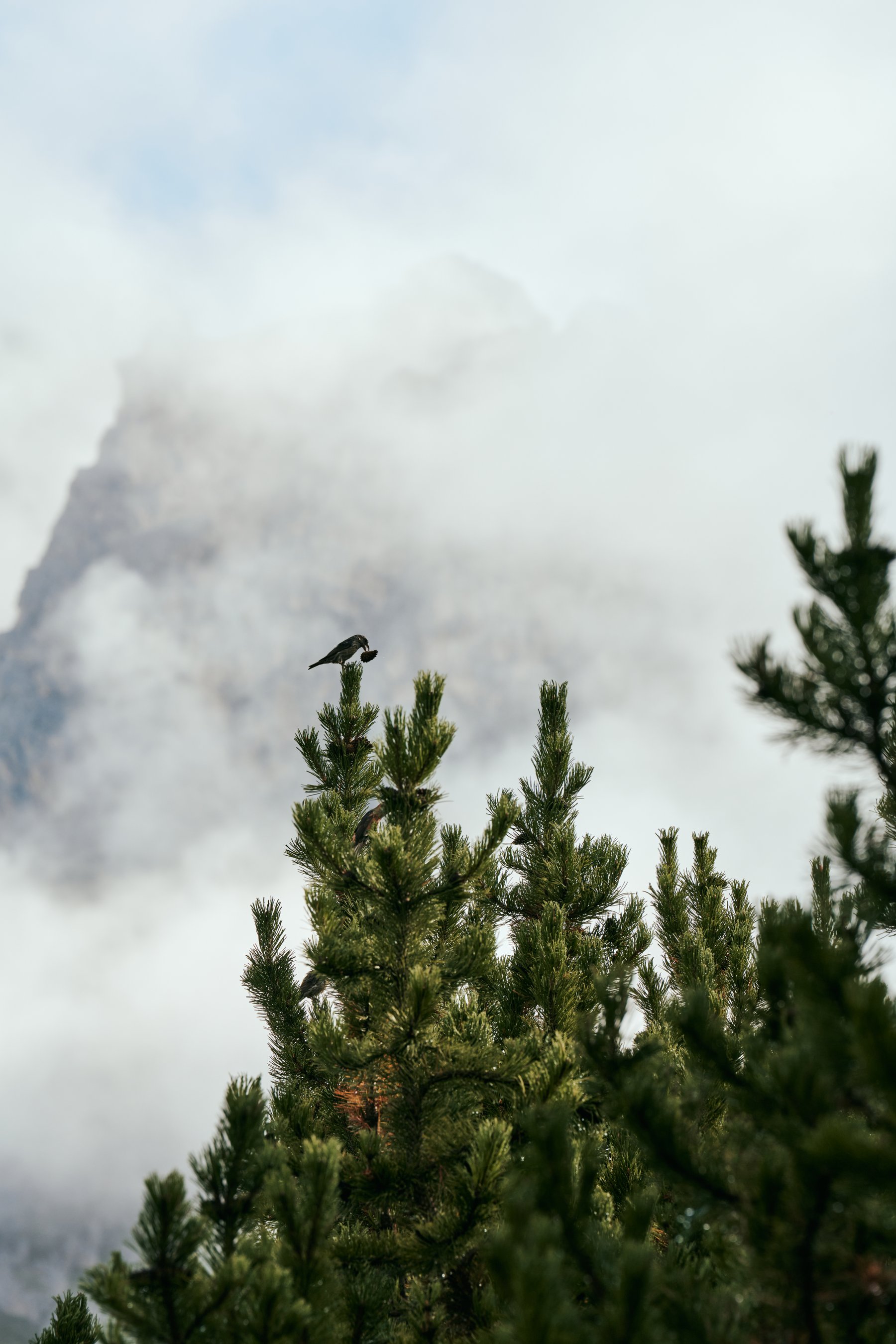 多洛米蒂山脉