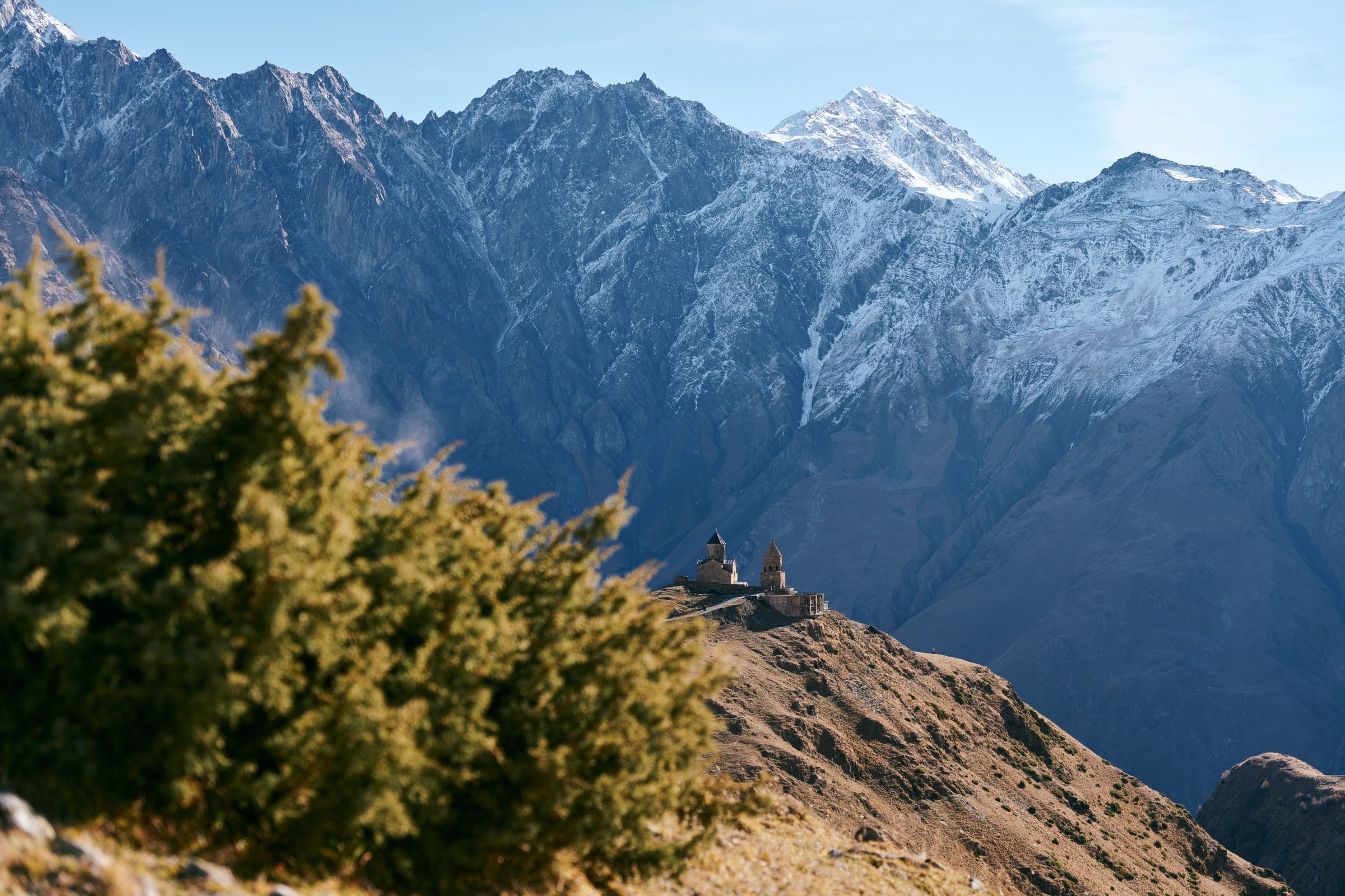 Pine shrubs in the foreground, Gergeti Trinity Church small on its ridge beneath a wall of snowy mountains, Georgia