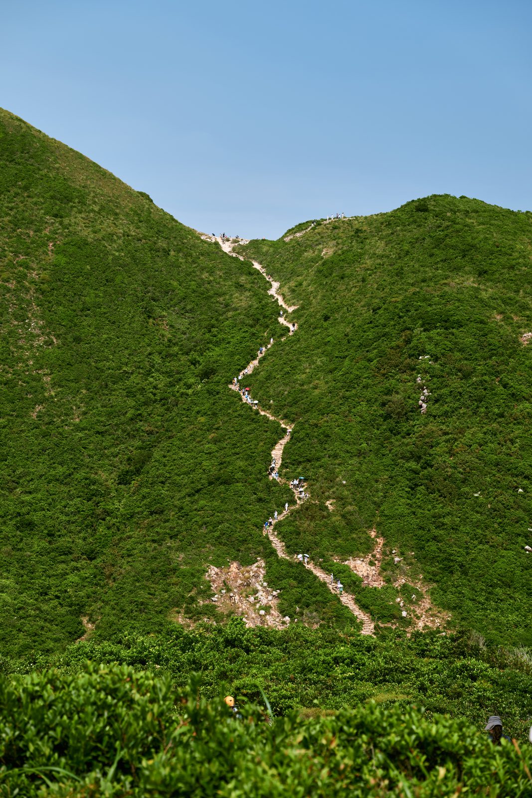 Steep zigzag path up a grassy ridge, MacLehose Trail, Sai Kung, Hong Kong