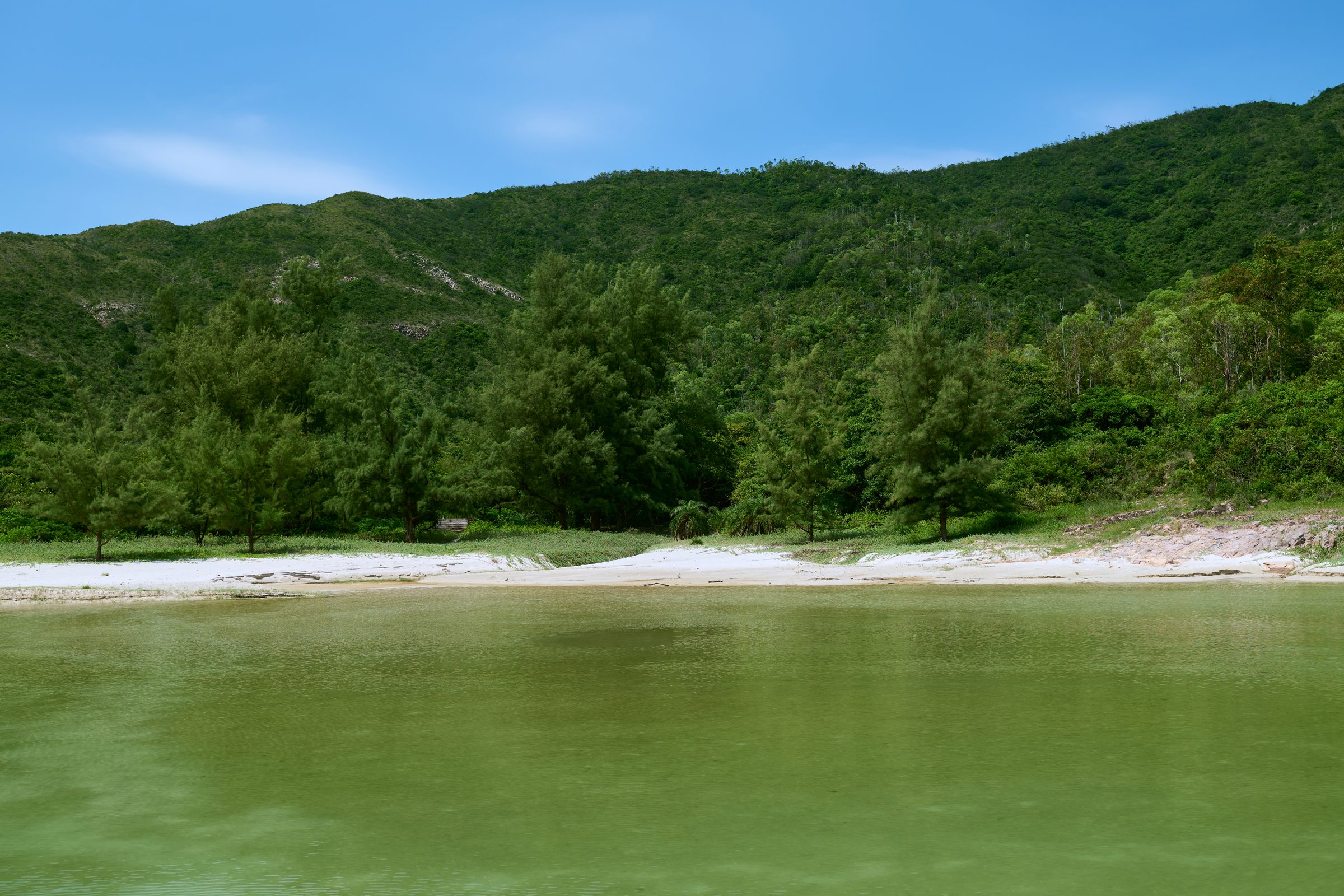 Green lagoon and pine trees below wooded hills, MacLehose Trail, Sai Kung, Hong Kong