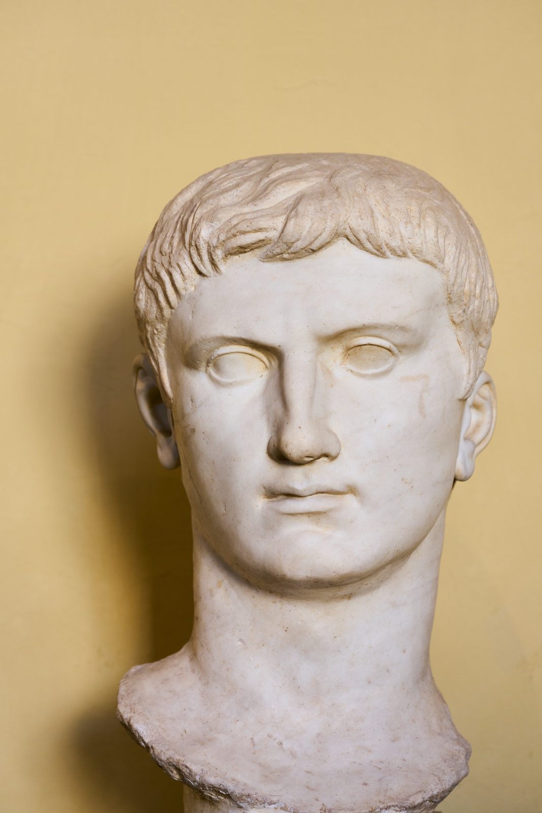 Roman head, Vatican Museums, Vatican City